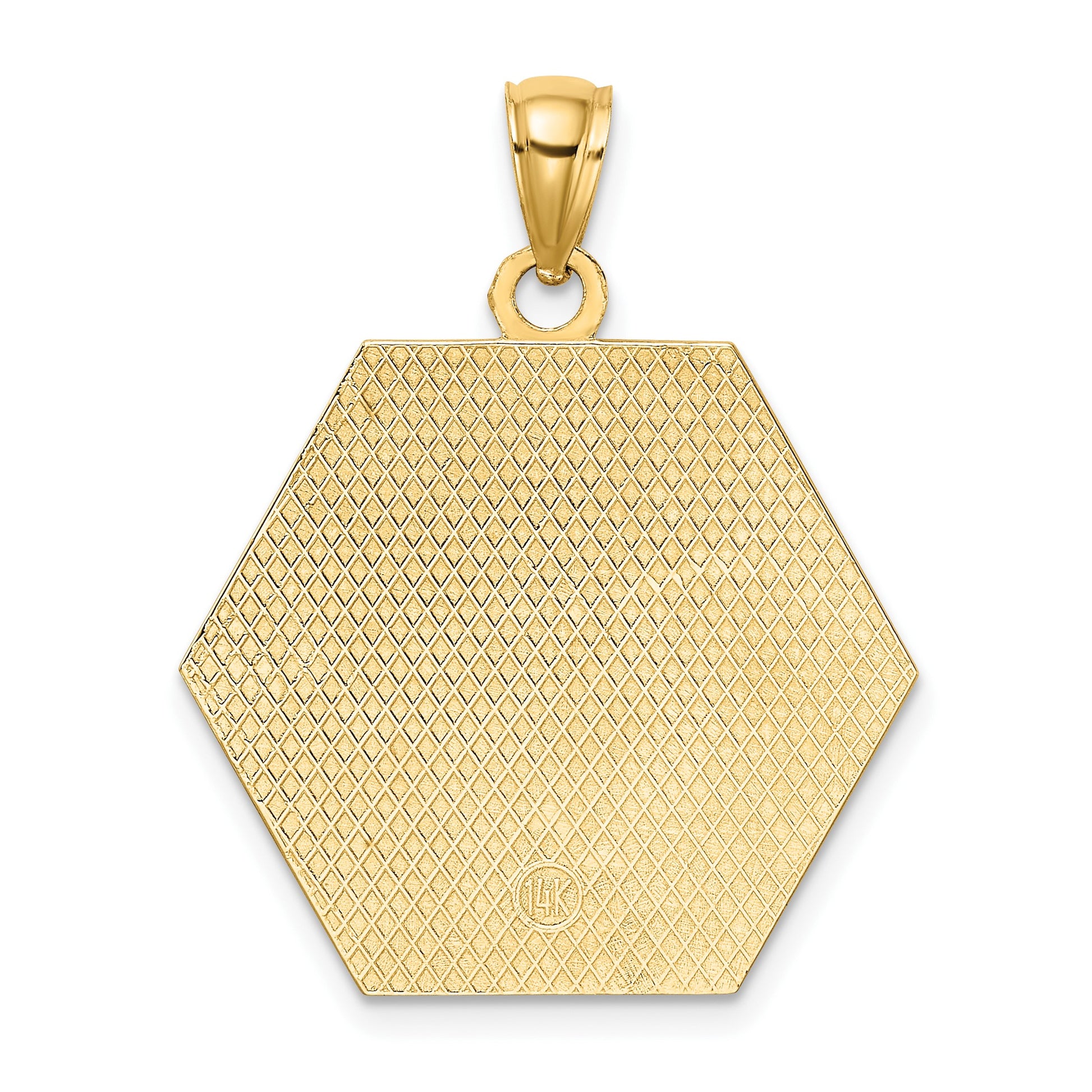 14K Textured Back Caduceus Medical Disc Pendant