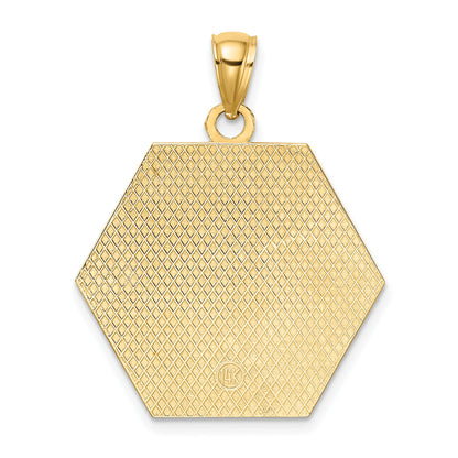 14K Textured Back Caduceus Medical Disc Pendant