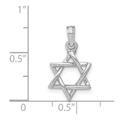 14K White Gold Polished Star Of David Charm