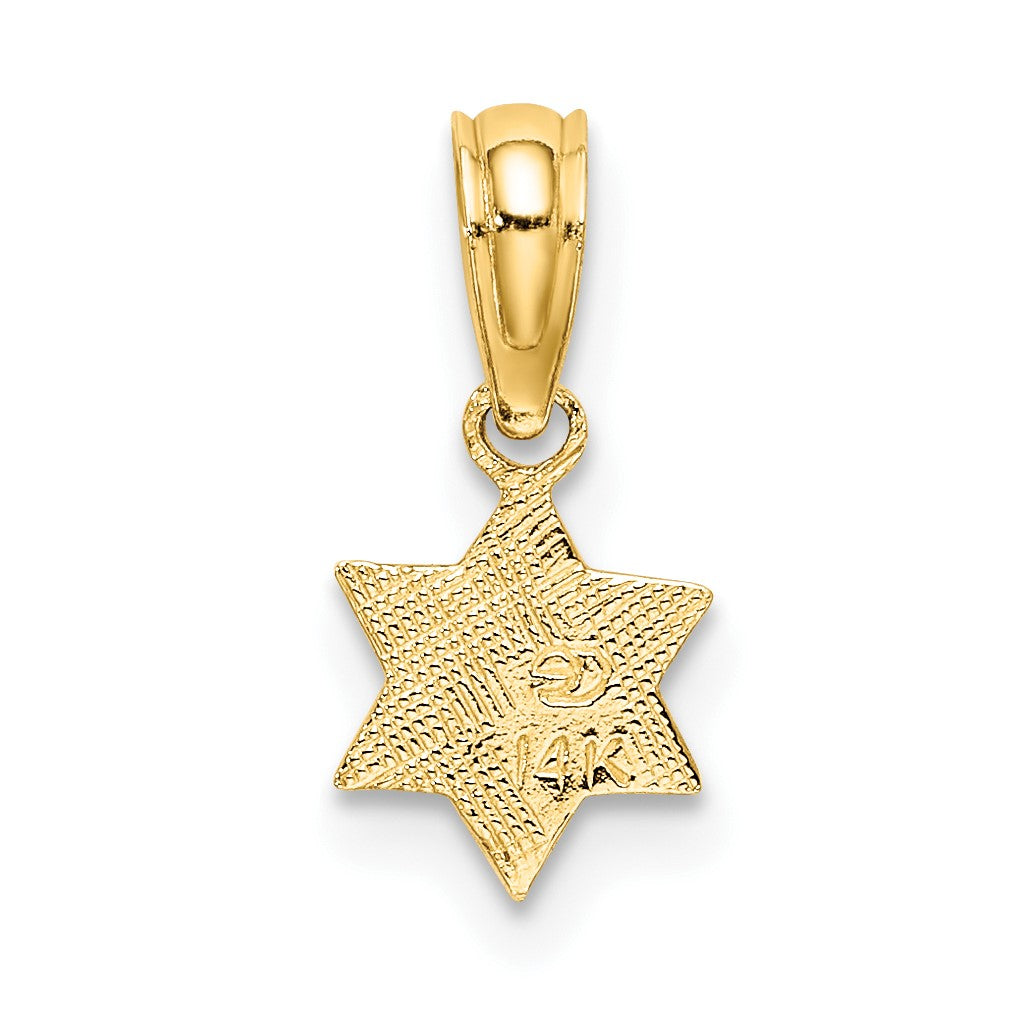14K Textured Mini Star Of David Charm
