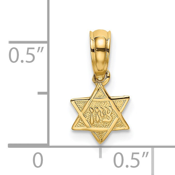 14K Textured Mini Star Of David Charm