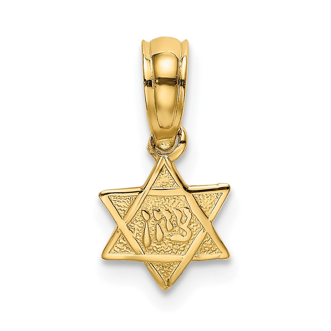 14K Textured Mini Star Of David Charm