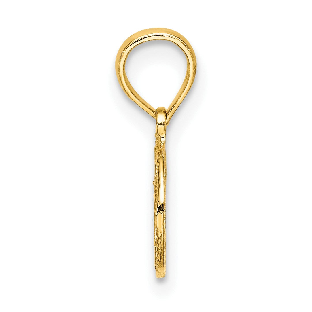 14K Textured Star Of David in Circle Charm