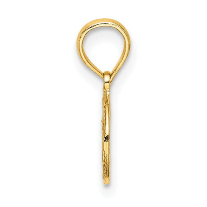 14K Textured Star Of David in Circle Charm