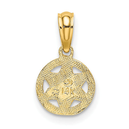 14K Textured Star Of David in Circle Charm