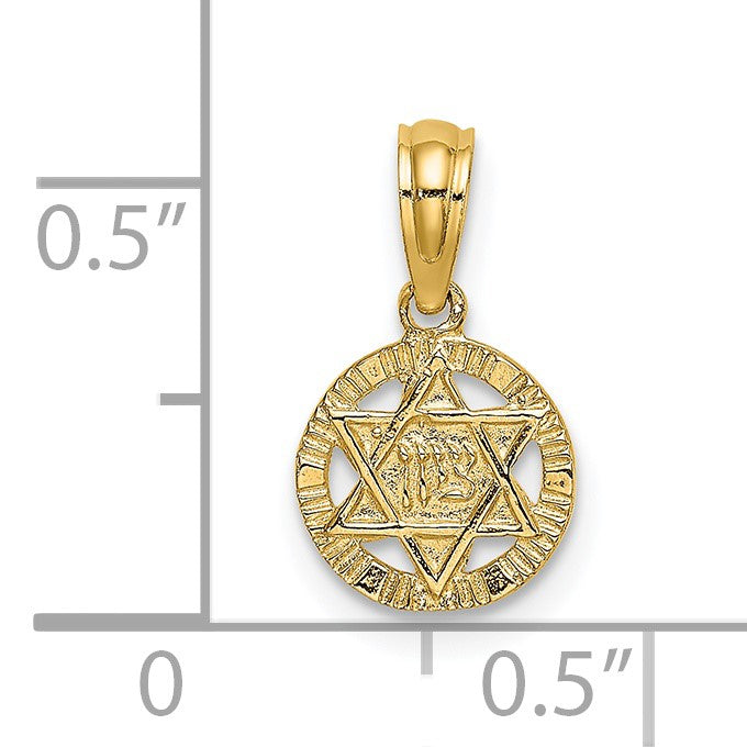 14K Textured Star Of David in Circle Charm