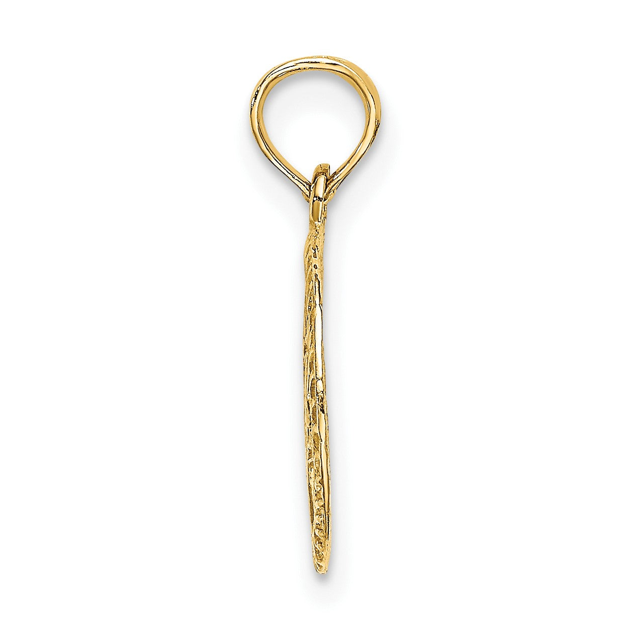 14K Textured Star Of David In Circle Charm