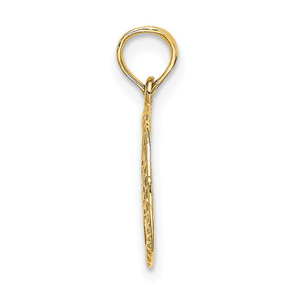 14K Textured Star Of David In Circle Charm