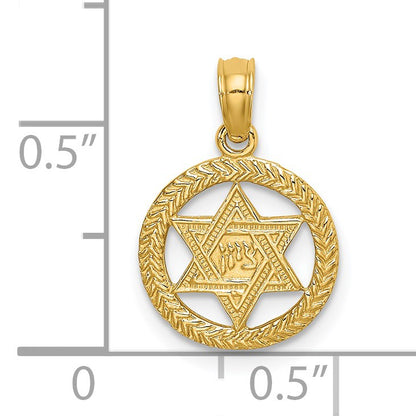 14K Textured Star Of David In Circle Charm