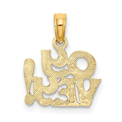 14K Polished and Textured OY VEY Charm