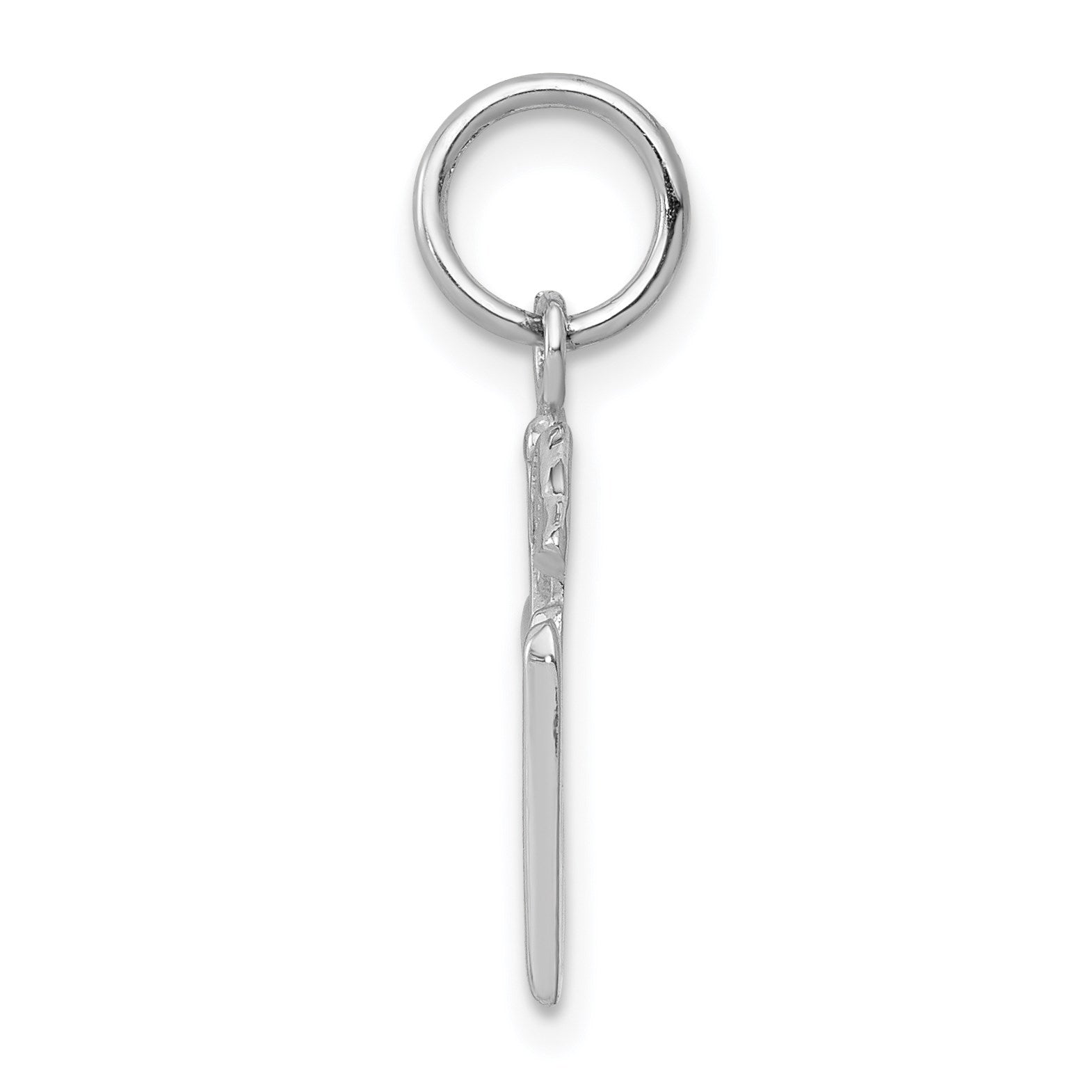 14k White Gold RN Registered Nurse Charm