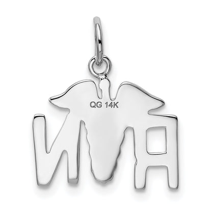 14k White Gold RN Registered Nurse Charm