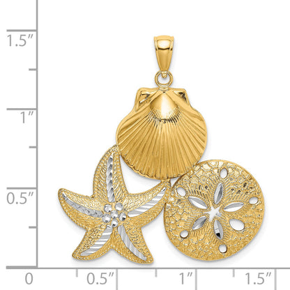 14k with White Rhodium Diamond-cut Scallop Starfish Sand Dollar Charm