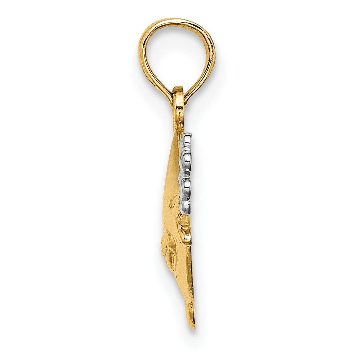 14k and White Rhodium 2-D Fish with Bubbles Charm