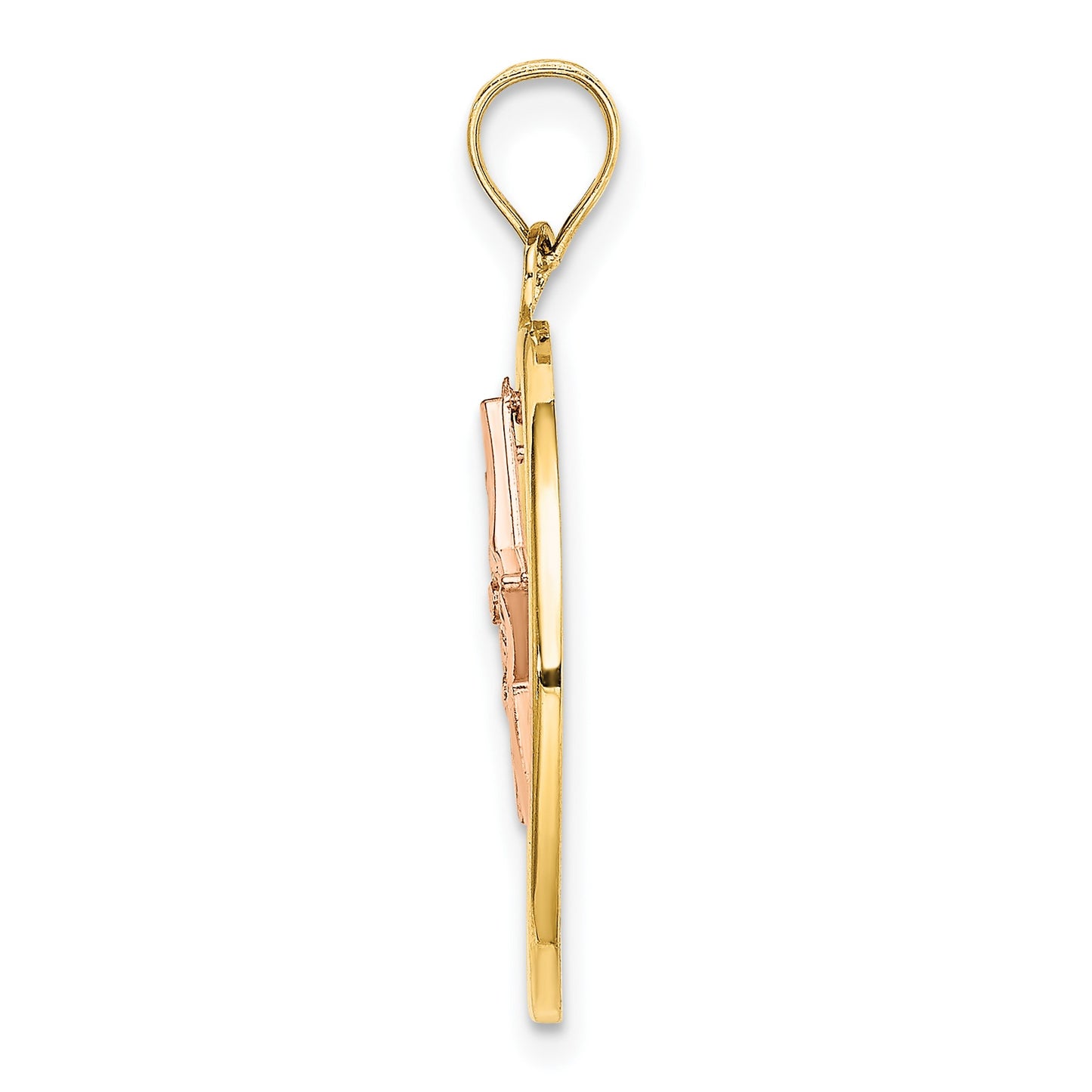 14k Two-tone with White Rhodium Star Dangle in Circle Moveable Charm