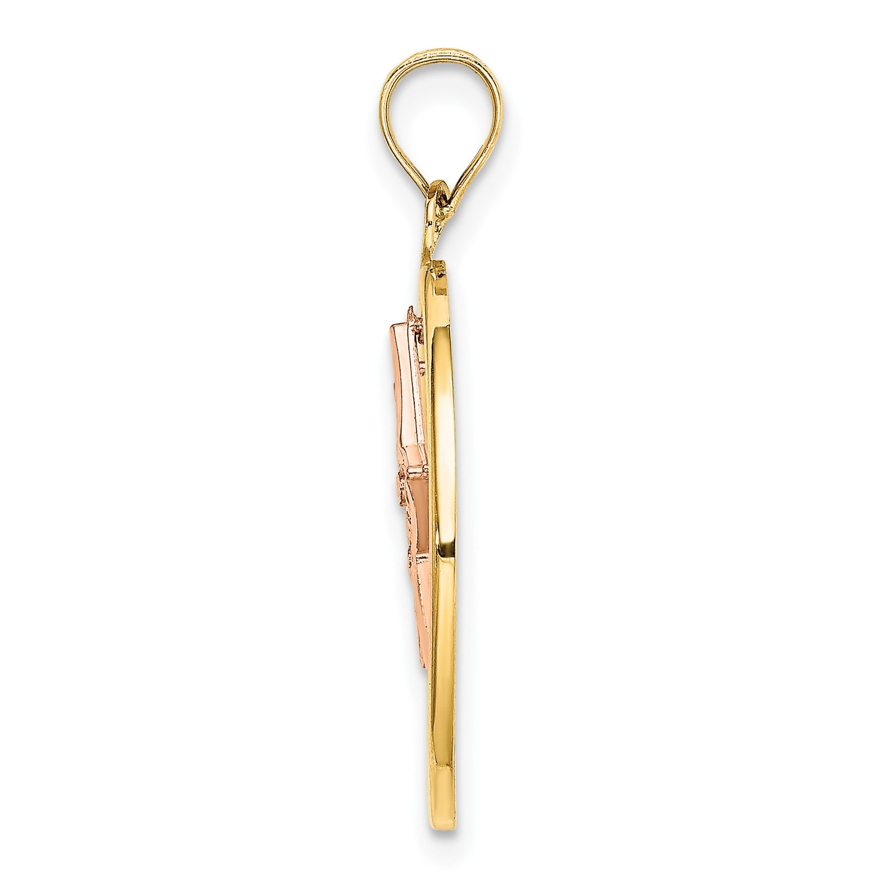 14k Two-tone with White Rhodium Star Dangle in Circle Moveable Charm