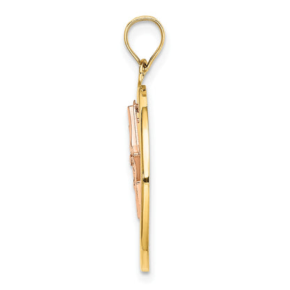 14k Two-tone with White Rhodium Star Dangle in Circle Moveable Charm