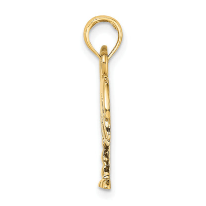 14K and White Rhodium Polished Charleston Palm Tree Charm