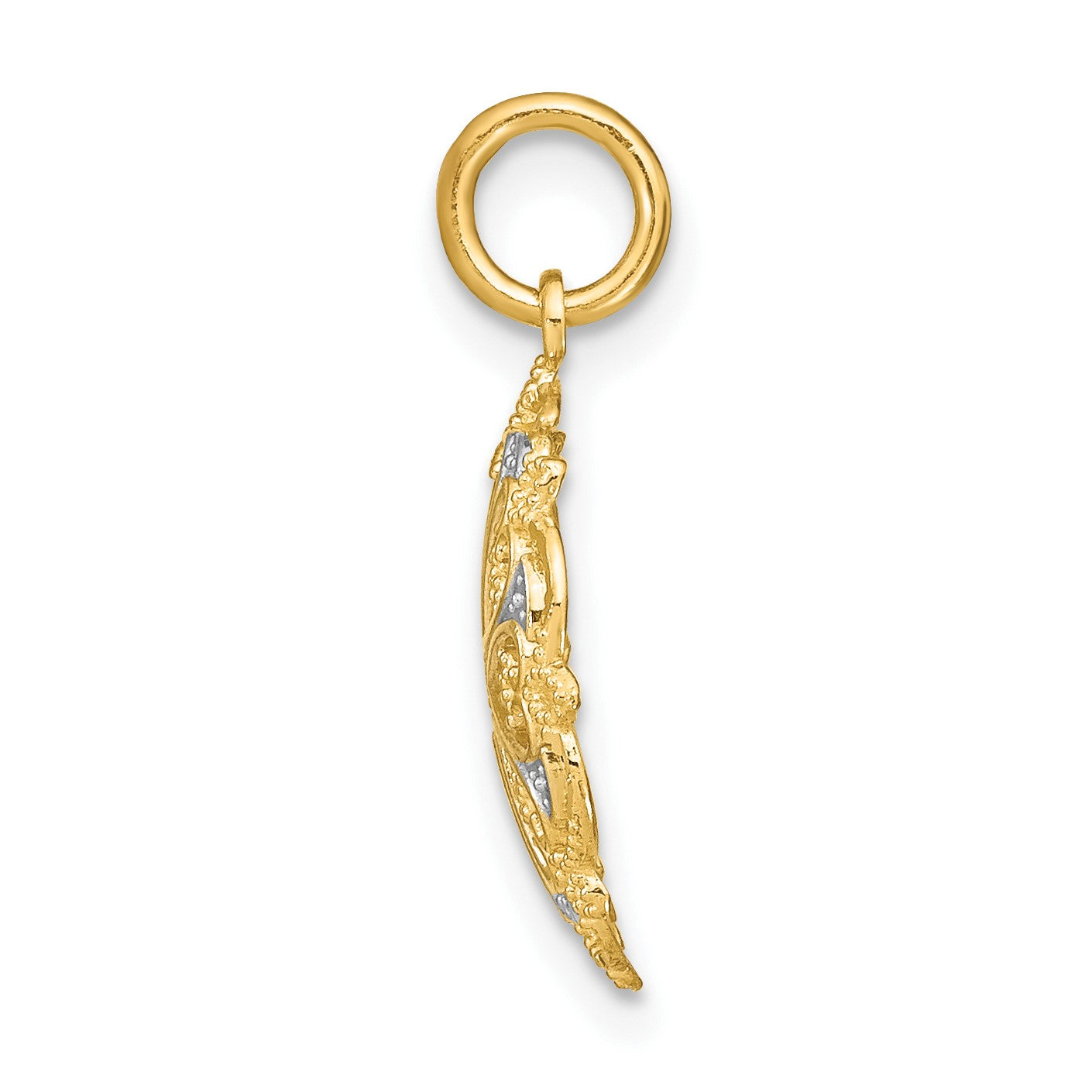 14K and White Rhodium and Diamond-cut Filigree Heart Round Charm