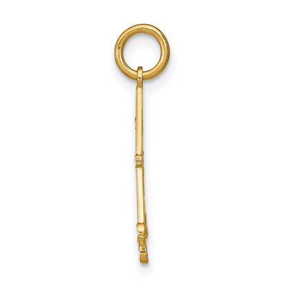 14K with White Rhodium Diamond-cut Chandelier Charm