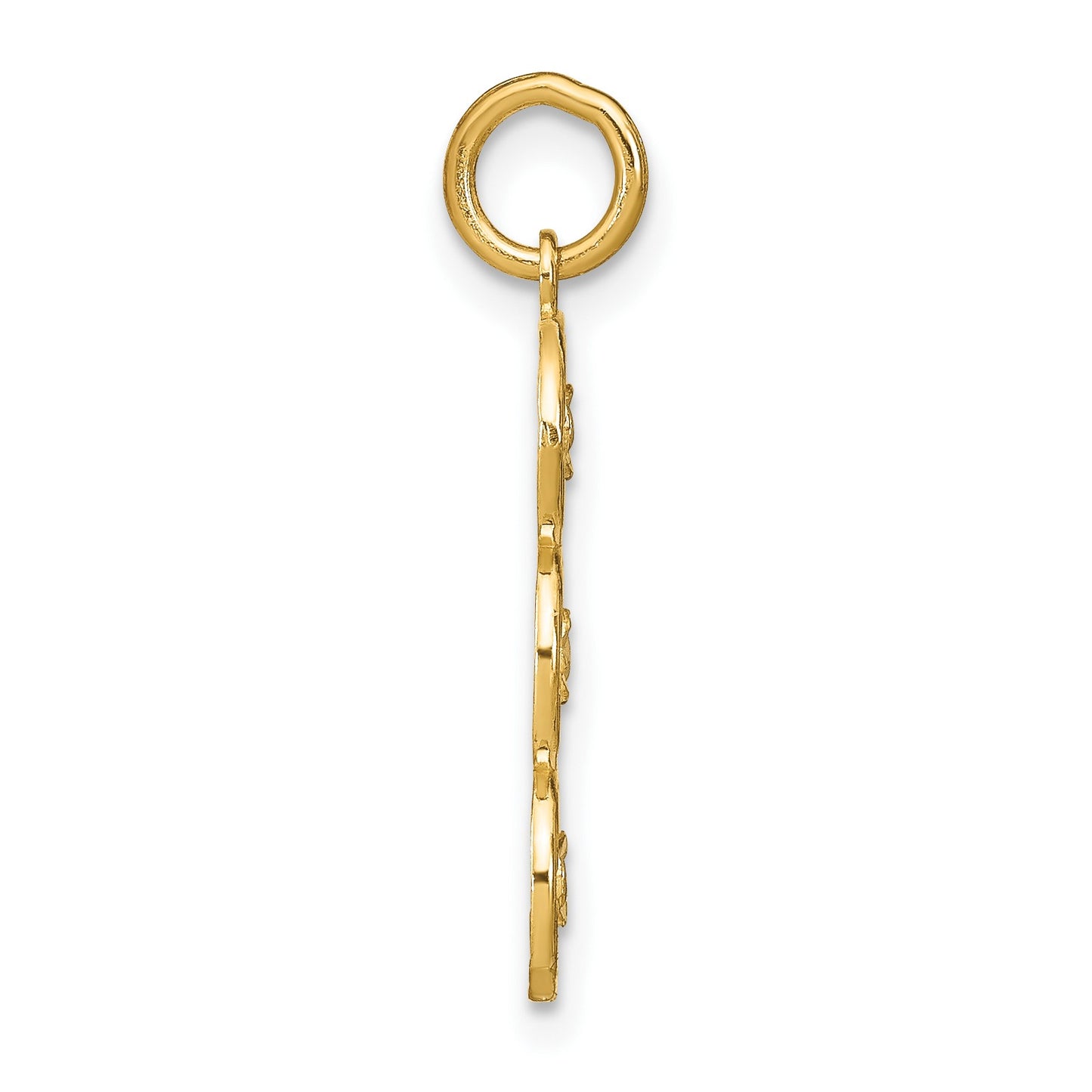 14k and White Rhodium Diamond-cut 3-Circle Charm