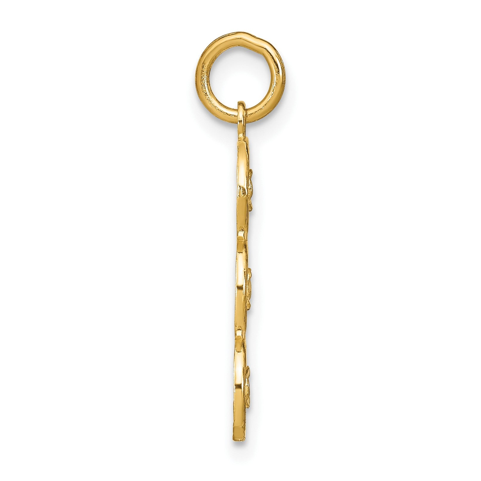 14k and White Rhodium Diamond-cut 3-Circle Charm