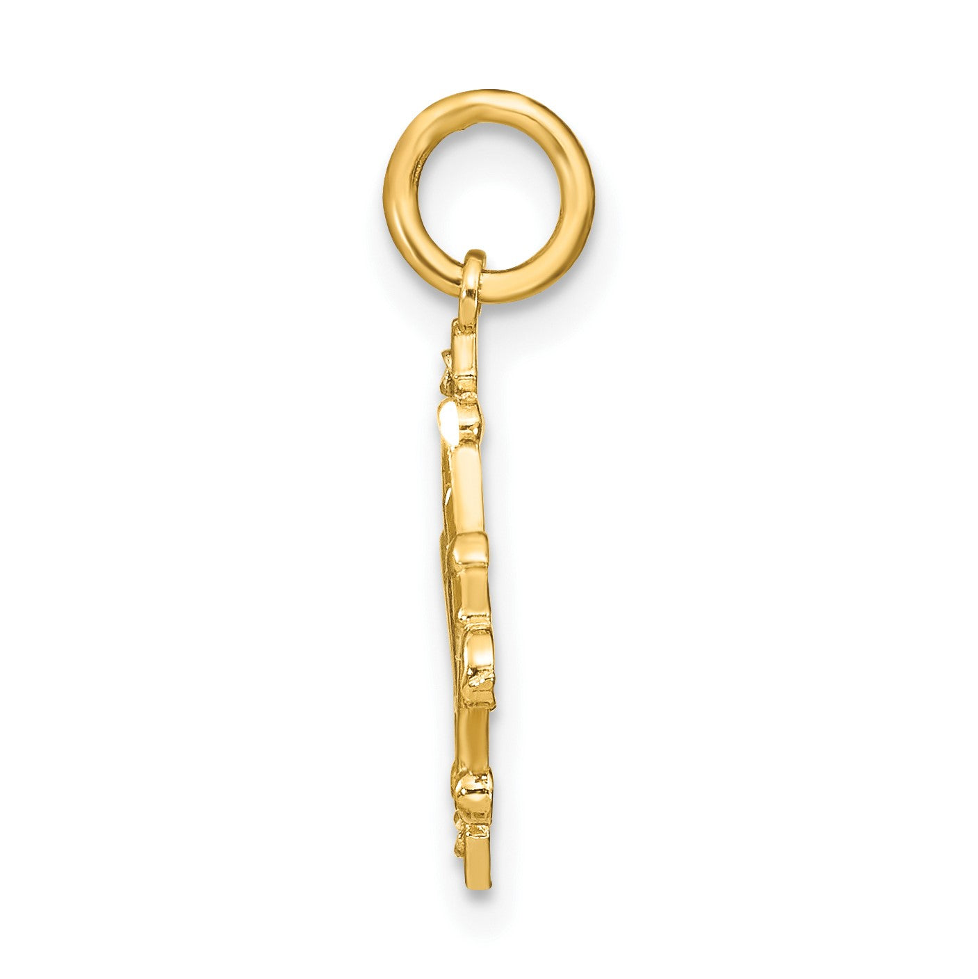 14K with White Rhodium Diamond-cut Chandelier Style Charm
