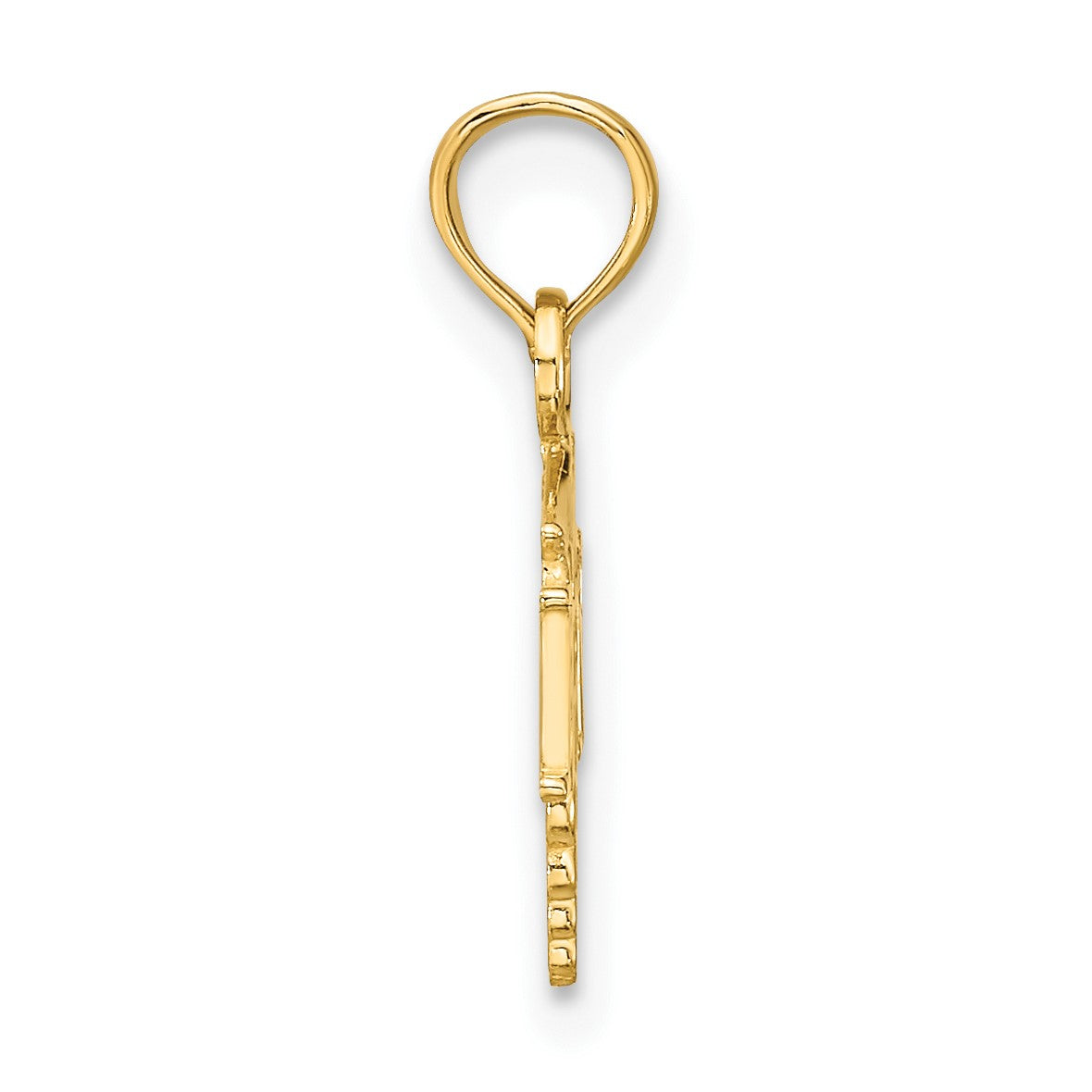 14K RN Registered Nurse Caduceus Charm