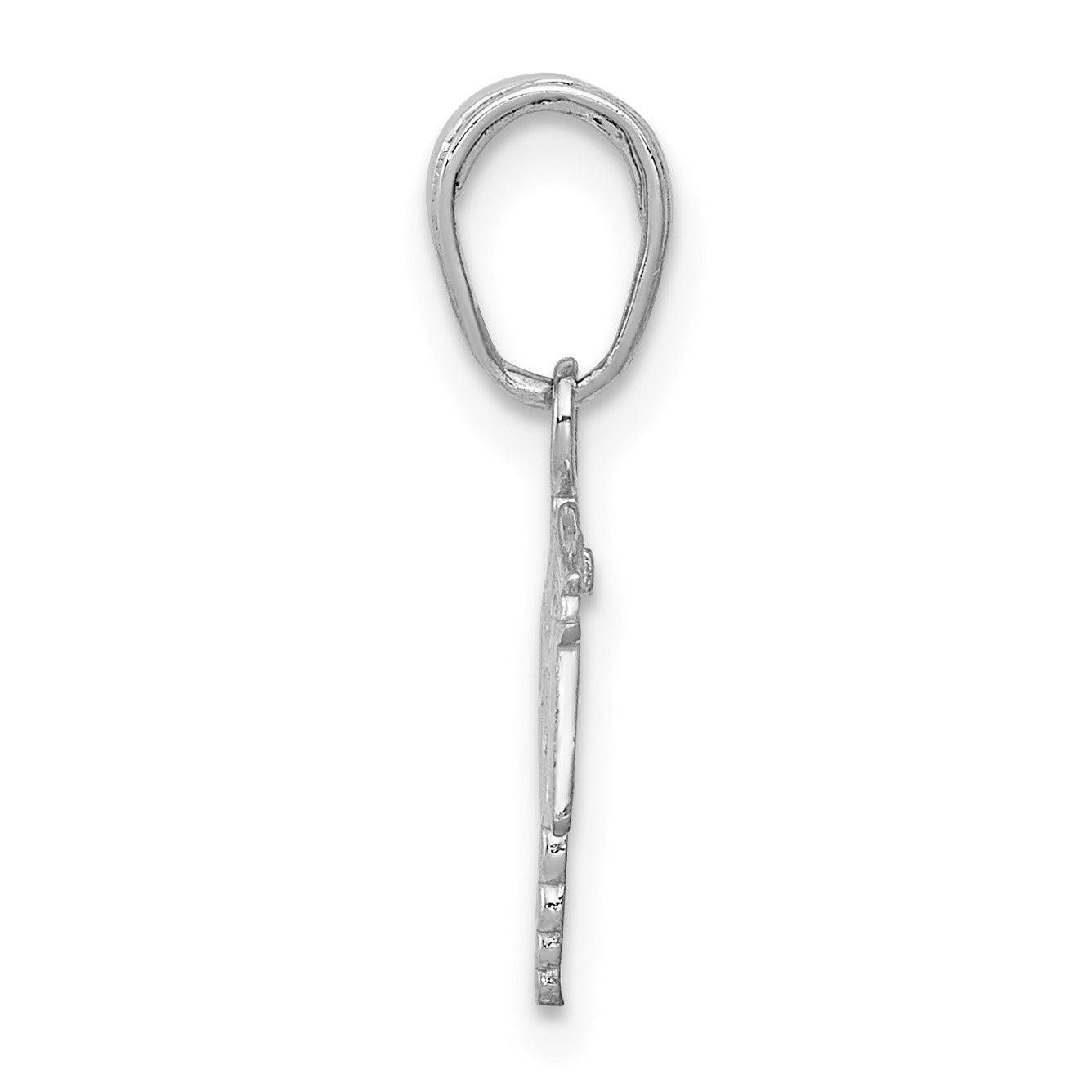 14K White Gold Textured RN Registered Nurse Caduceus Charm