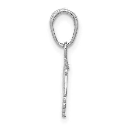 14K White Gold Textured RN Registered Nurse Caduceus Charm