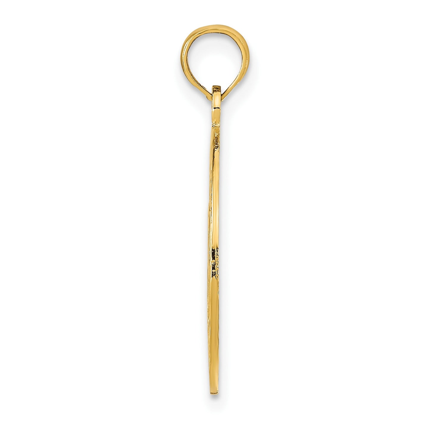 14K MARCO ISLAND with Dolphins Circle Pendant