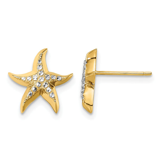 14k w/Rhodium Starfish Post Earrings