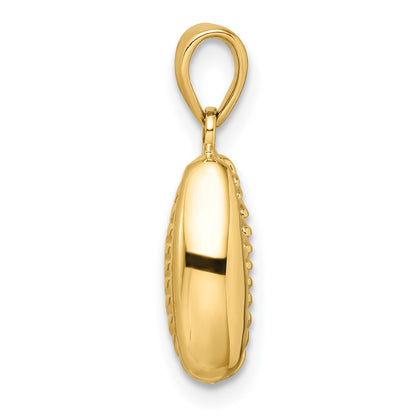 14k Polished 3-D Cowrie Shell Pendant