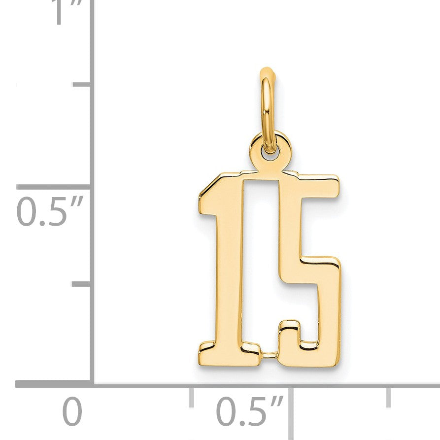 14k Small Elongated Number 15 Charm
