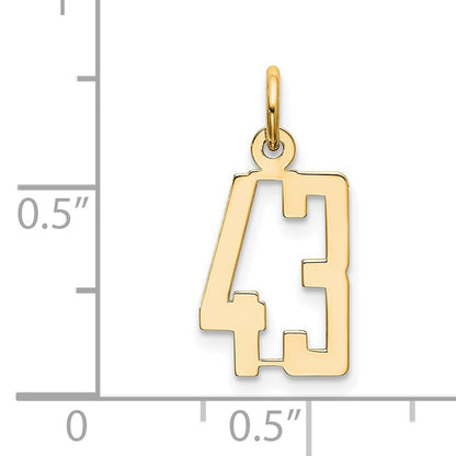 14k Small Elongated Number 43 Charm