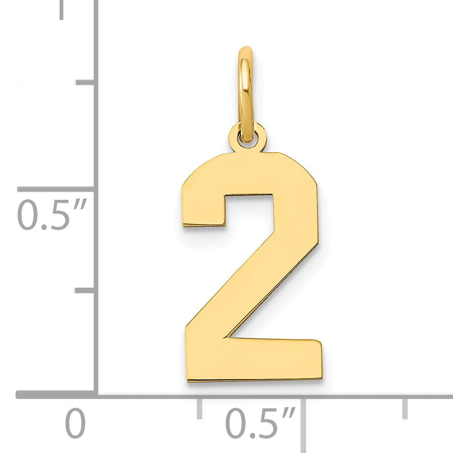 14k Medium Polished Number 2 Charm