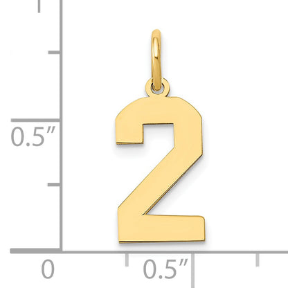 14k Medium Polished Number 2 Charm