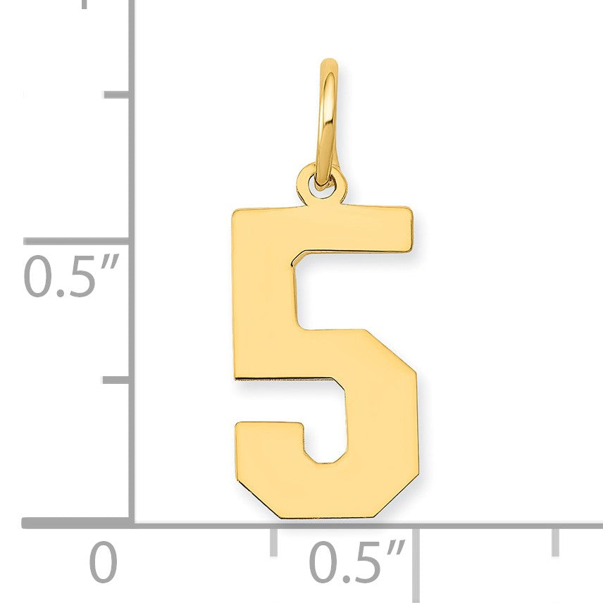 14k Medium Polished Number 5 Charm