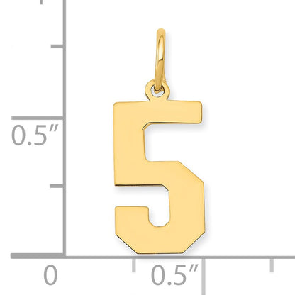 14k Medium Polished Number 5 Charm