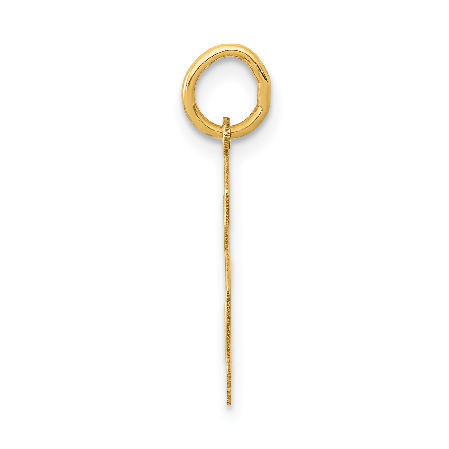 14k Medium Polished Number 6 Charm
