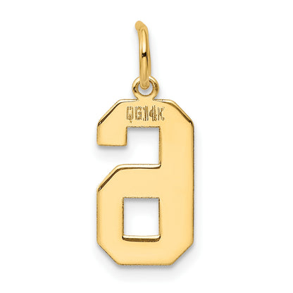 14k Medium Polished Number 6 Charm