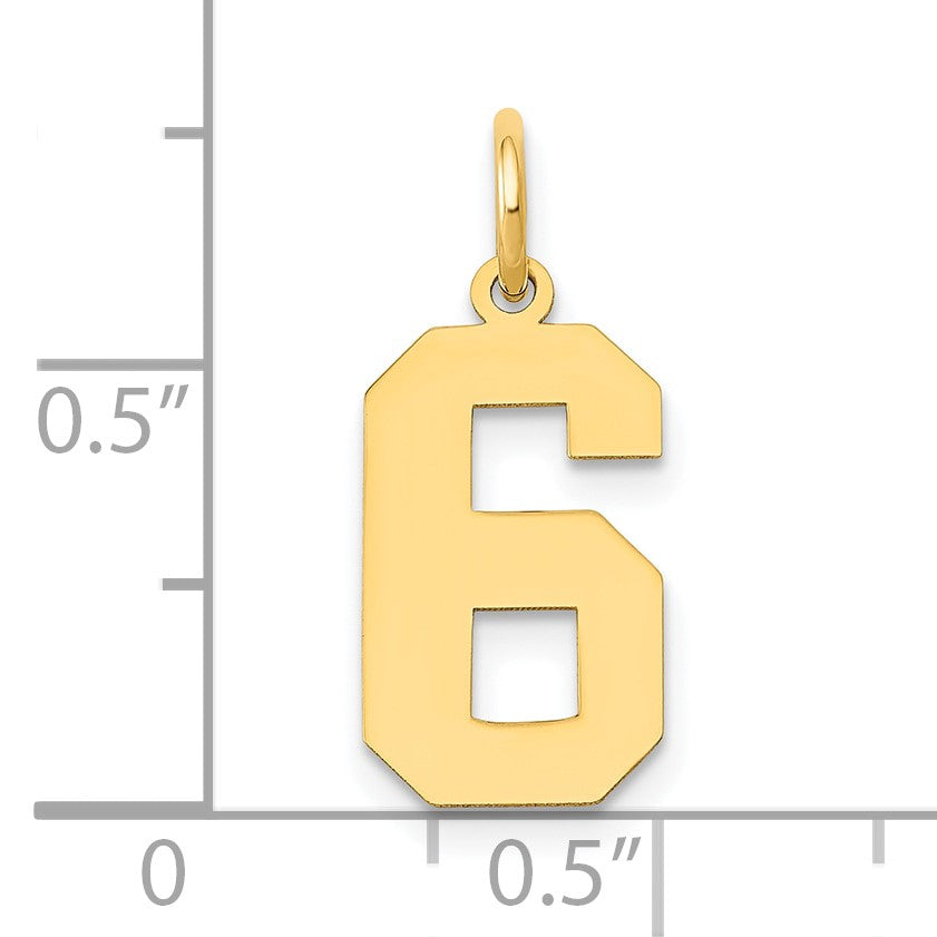 14k Medium Polished Number 6 Charm
