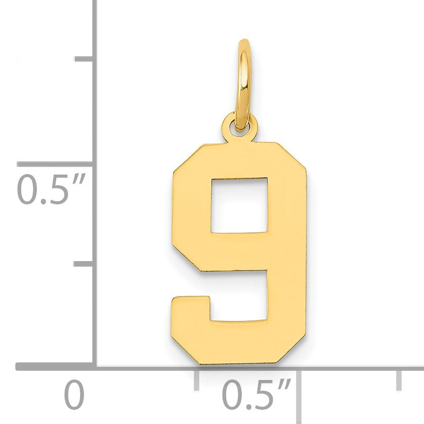 14k Medium Polished Number 9 Charm