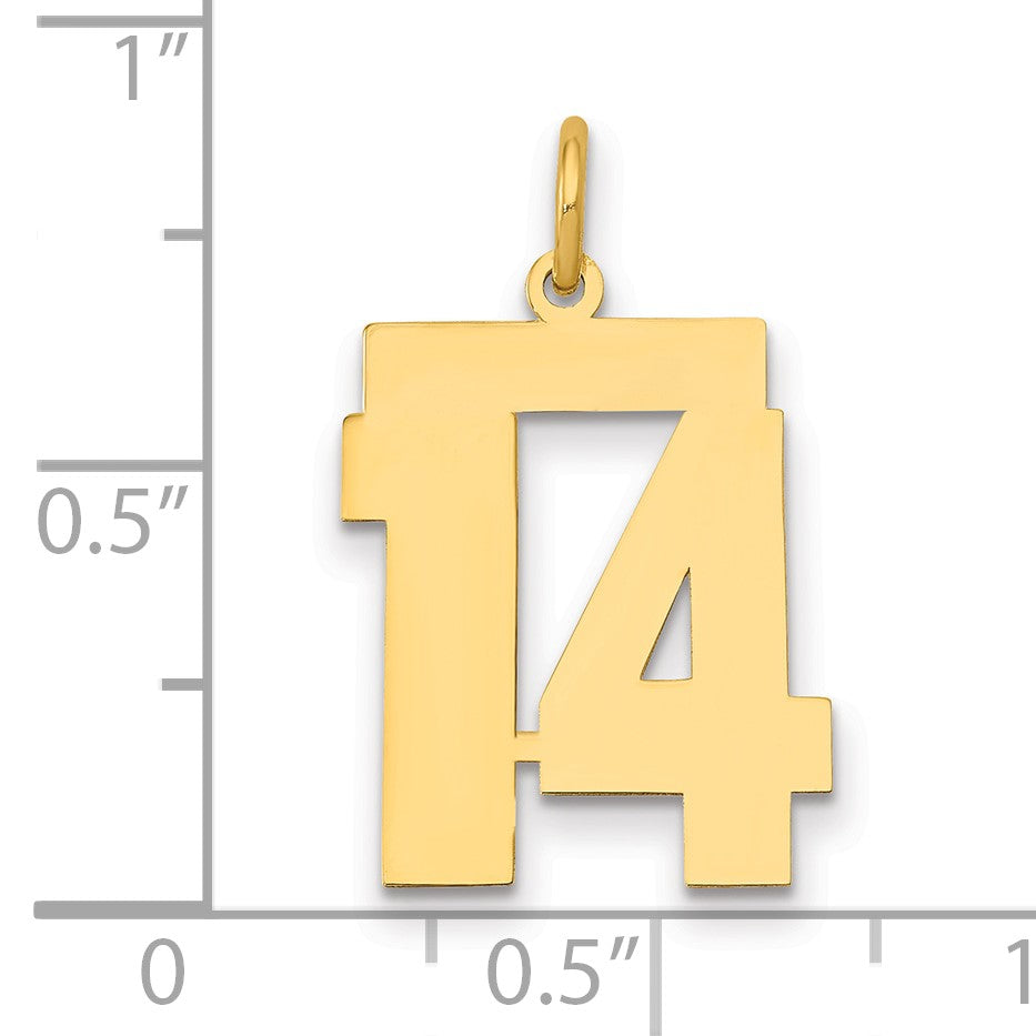 14k Medium Polished Number 14 Charm