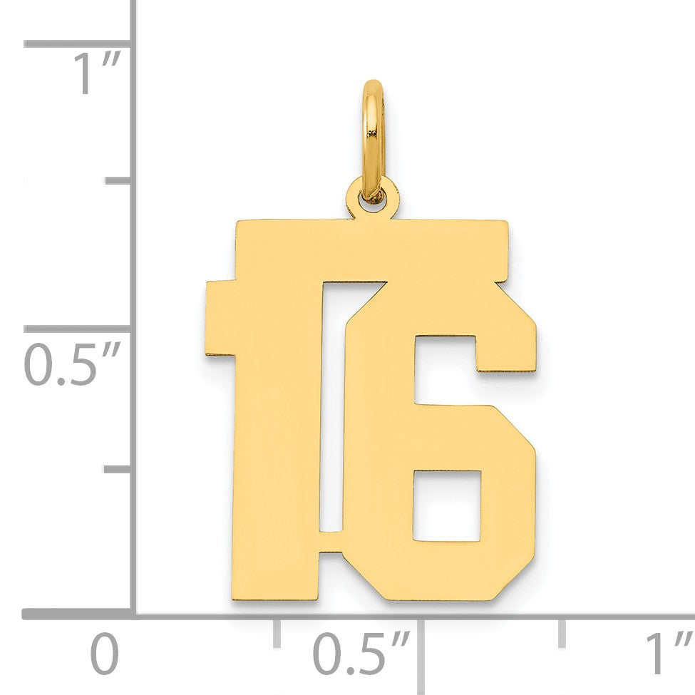 14k Medium Polished Number 16 Charm