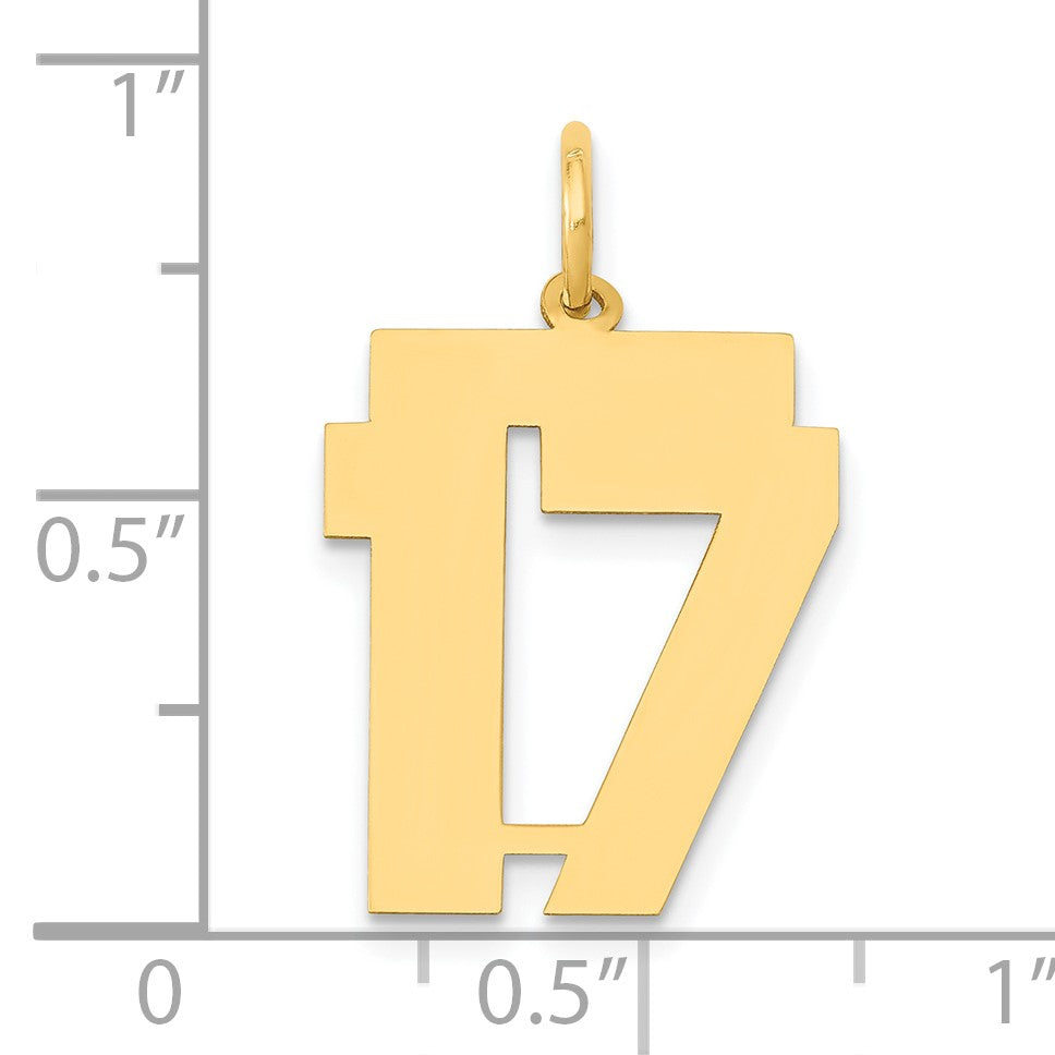 14k Medium Polished Number 17 Charm