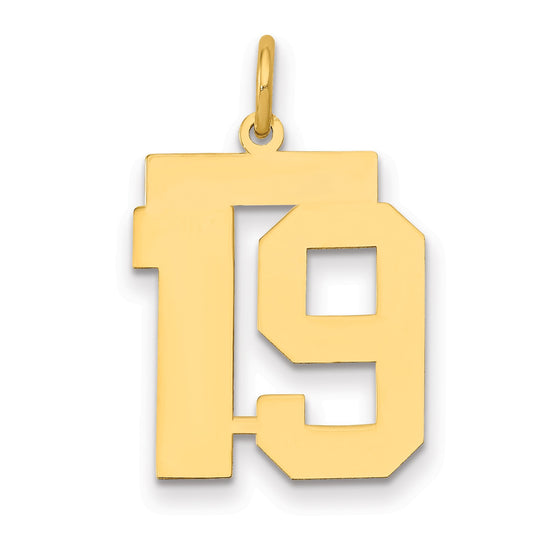 14k Medium Polished Number 19 Charm