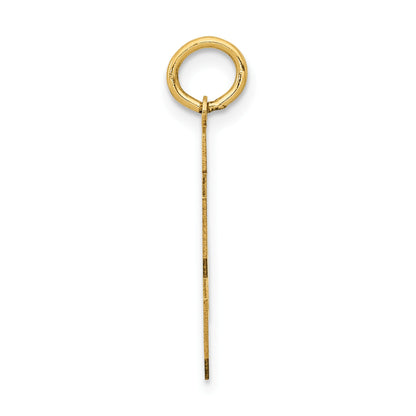 14k Medium Polished Number 23 Charm