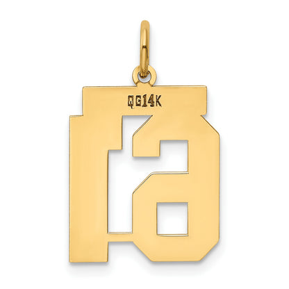 14k Medium Polished Number 61 Charm
