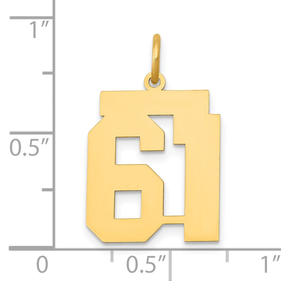 14k Medium Polished Number 61 Charm